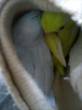   &raquo; Click to zoom ->