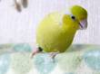   &raquo; Click to zoom ->
