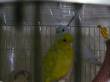   &raquo; Click to zoom ->