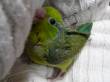   &raquo; Click to zoom ->