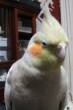   &raquo; Click to zoom ->