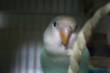   &raquo; Click to zoom ->