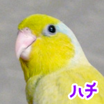 �ϥ�