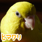 �ҥޥ��