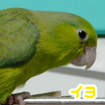 ����