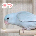 �ߥ�