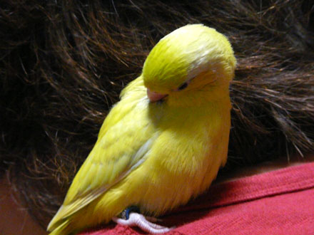 2008/07/08����