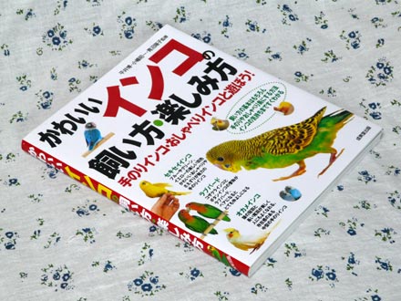 ���襤�����󥳤λ��������ڤ�����
