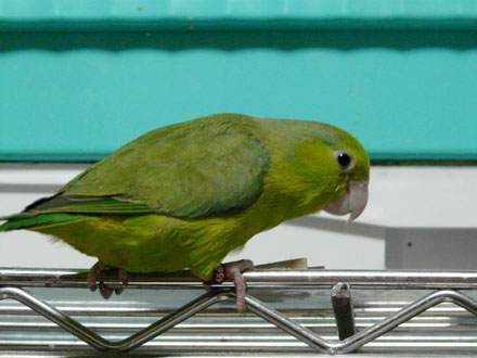 2008/08/25����