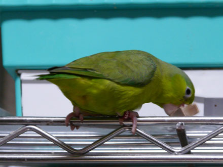 2008/08/25����