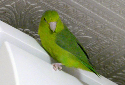 2008/08/25����