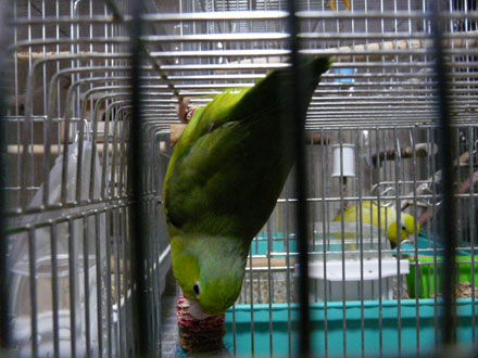 2008/08/25����
