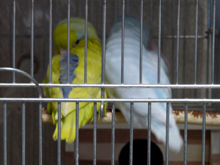 2008/08/28撮影