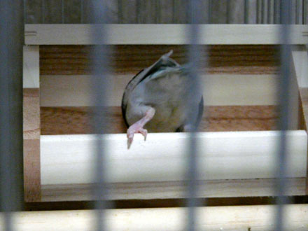 2008/08/23撮影