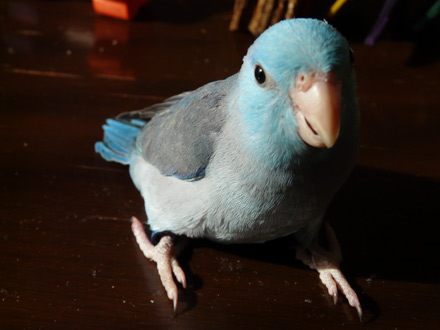 2009/01/04撮影